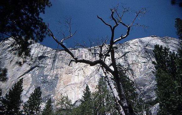 Yosemite 10