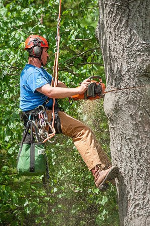 DSC_9268